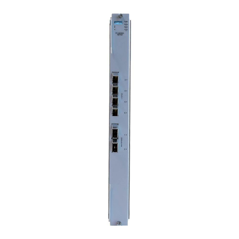 FC-AEHG2-AETG4-3-04