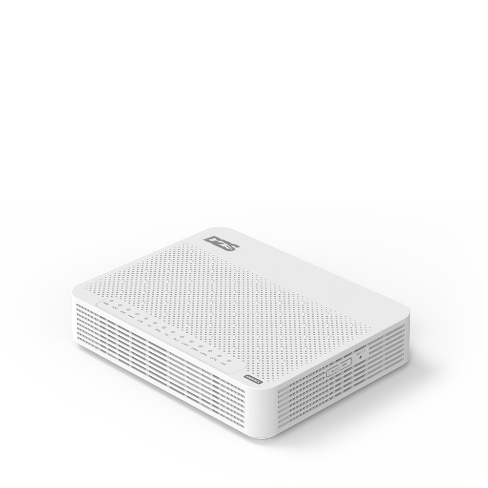 Dzs Product White Modem