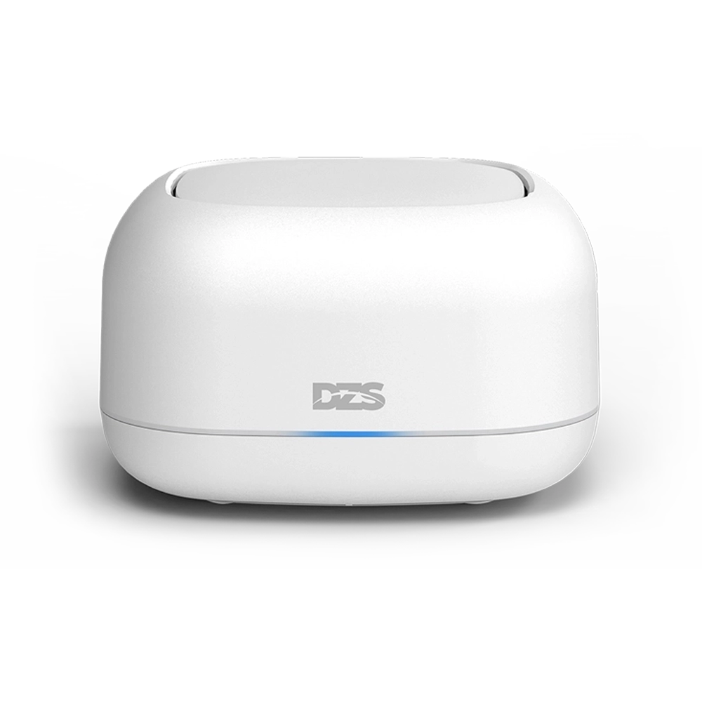 Dzs Product