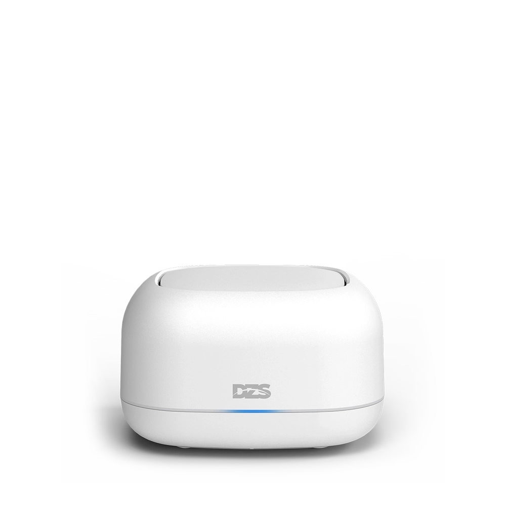 Dzs Product