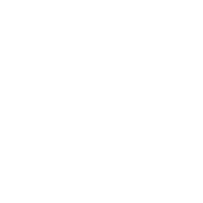 dasanzhonesolutions