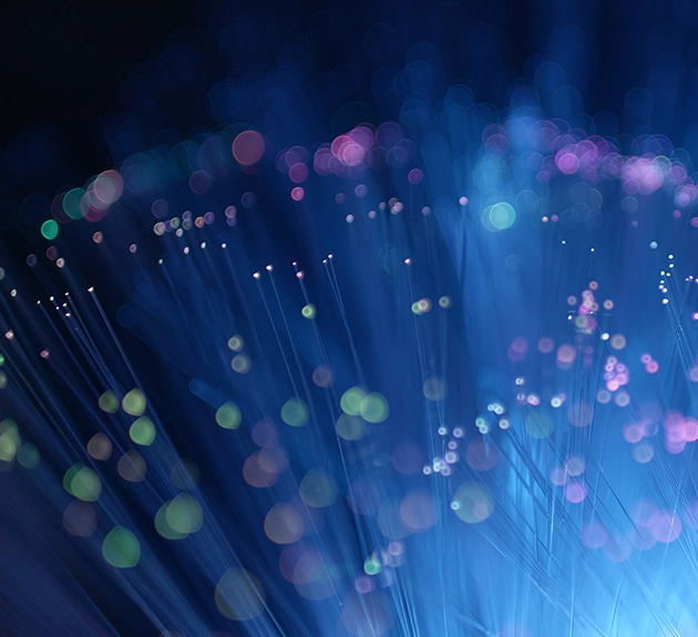 fiber