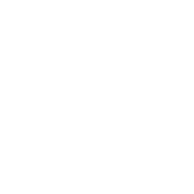 paradyne